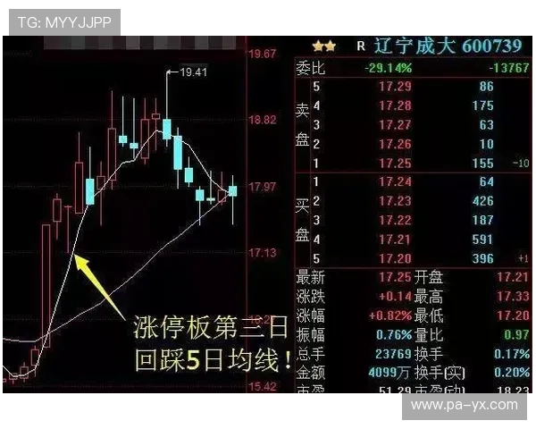 掌握K8金沙电子高胜率技巧提升游戏体验和盈利能力的方法